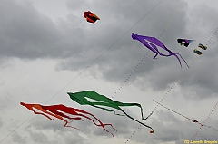 Venice kite festival_0364